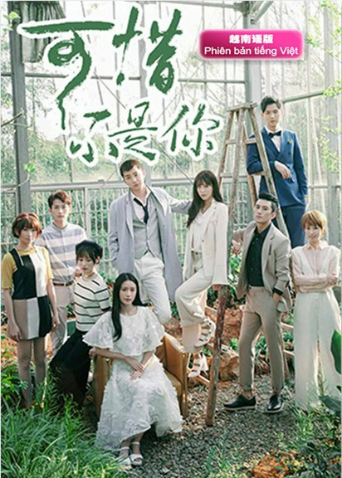 可惜不是你越南版语版