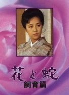 金瓶悔1一5扬思敏无删减